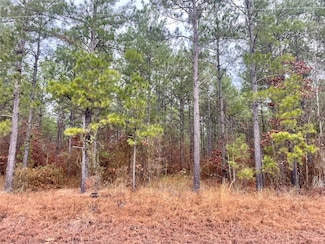14329 Louisiana 157, Benton, LA 71006