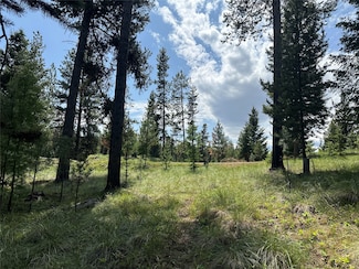 1148 Double Arrow Rd, Seeley Lake, MT 59868