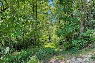 144 Galax Dr Unit T-42, Black Mountain, NC 28711