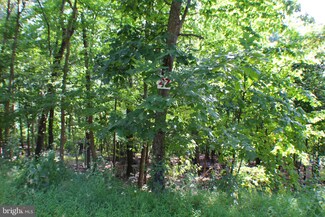 Lot 27 Cave Mountain, Western, WV 26866