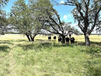 lot9101112 S Ranch Road 783, Harper, TX 78631