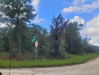 16224 Crider Rd, Brooksville, FL 34614