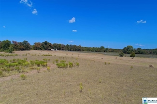 0 Jackson Farm Rd Unit B 863061, Wilsonville, AL 35186