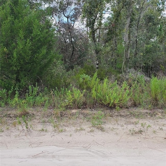 0 NE 66th Ln Unit MFRO6077218, Williston, FL 32696