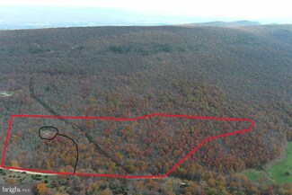 LOTS 2&3 Panther Rd, Maysville, WV 26833