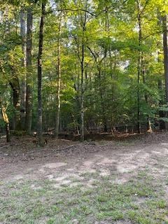 91a Palomino, Carthage, NC 28327