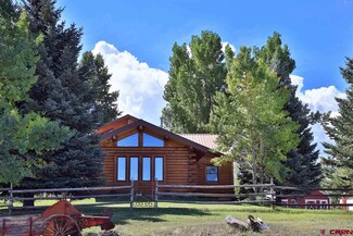 ME 3/4 Road, Collbran, CO 81624