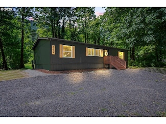662 Cannavinna Rd, Carson, WA 98610