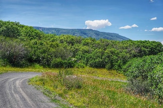 (Parcel 7) TBD Colorado 65, Mesa, CO 81643