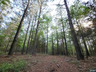 6926 County Road 29, Piedmont, AL 36272