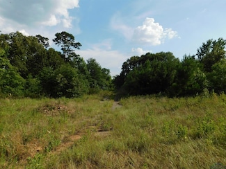 TBD Dollahite, Spring Hill, TX 75604