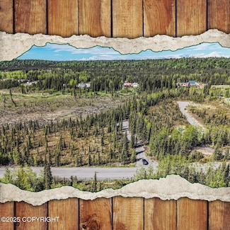 L3B2 Crooked Creek Rd, Kasilof, AK 99610