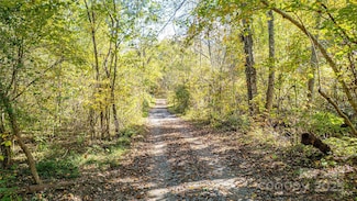 10 Dodd Rd, Barnardsville, NC 28709