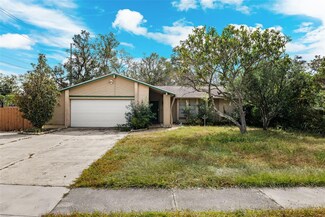 2433 Blind Pond Ave, Lutz, FL 33549