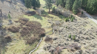 1 Tract Bull Elk, Drummond, MT 59832