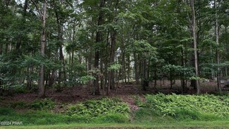 Lot 22 Cove Point Cir, Paupack Township, PA 18438