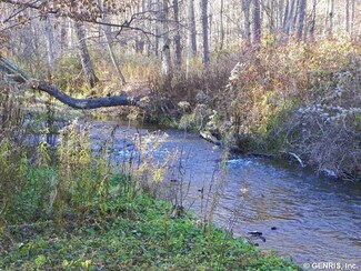 2973 County Route 6, Cohocton, NY 14826