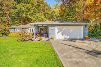 10367 Prouty Rd, Painesville, OH 44077