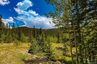 522 Quartzville Rd Unit 19, Alma, CO 80420