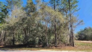 TBD Theresa Ave, Interlachen, FL 32148