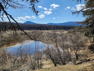 29520 Yaak River Rd, Troy, MT 59935
