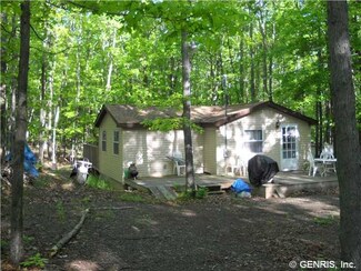 9567 Hallett Ln, Hammondsport, NY 14840