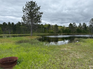 10420 E Newman Rd, Enterprise Township, MI 49667