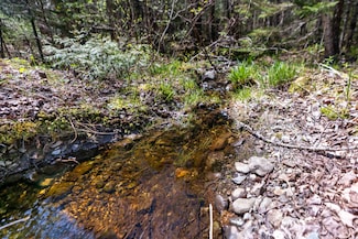 Lot 38 Arrowhead Rd, Bar Harbor, ME 04609