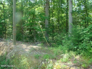 1 Birch Ln, Blounts Creek, NC 27814