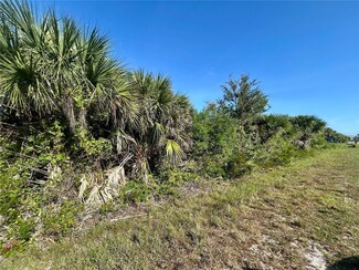 10039 Alvarez St, South Gulf Cove, FL 33981