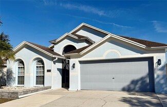 6838 Runner Oak Dr, Wesley Chapel, FL 33545