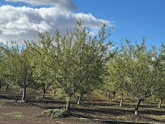 0 Striplin Rd, Pleasant Grove, CA 95668