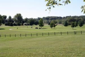 000 Sienna, West Plains, MO 65775