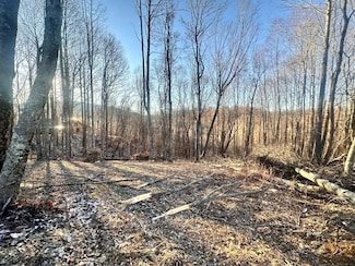 TBD Hidden Valley Ln, Independence, VA 24348