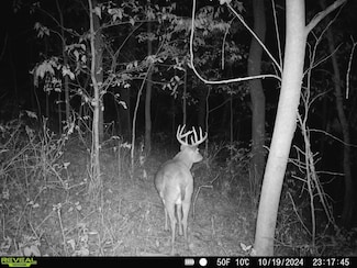 TBD Clark Rd, Browntown, WI 53522