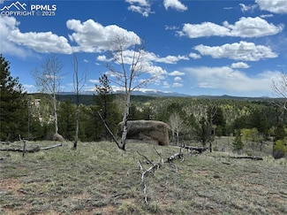 4687 W Highway 24, Florissant, CO 80816