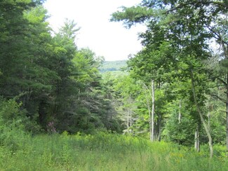 1633 Norway Rd, Lowman, NY 14861