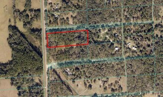 12851 NW Highway 225, Reddick, FL 32686