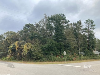 0 S Pickens Ave, Lillian, AL 36549
