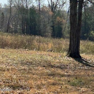 Lot 12 Europa Dr, Spring City, TN 37381