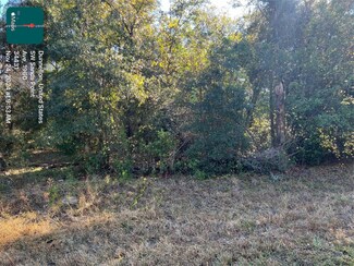 TBD SW Sands Point, Dunnellon, FL 34431