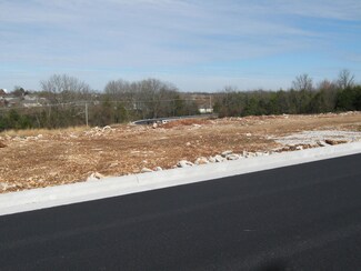 405 E Wright St, Willard, MO 65781