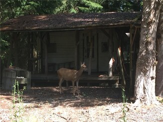 801 Schwartz Rd, Nordland, WA 98358