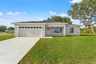 415 Malauka Radial, Ocklawaha, FL 32179