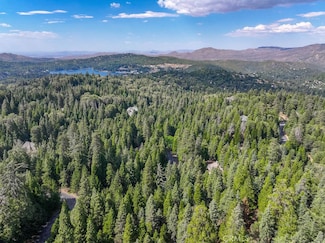 29191 Pigeon Hawk Ln, Lake Arrowhead, CA 92352