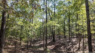 000 County Road 3540, Mountain View, MO 65548