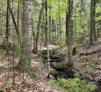 0 Snell Rd, Chester, VT 05143