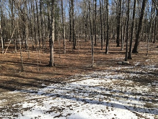 85 Jansen Rd, New Paltz, NY 12561