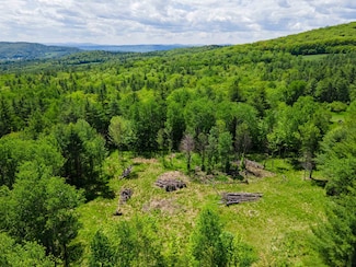 381 E Green Mountain Rd, Claremont, NH 03743