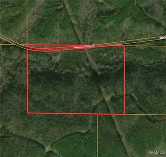 8648 Groundhog Rd, Adger, AL 35006